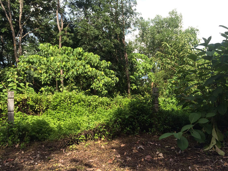 On the way time passes and things change.