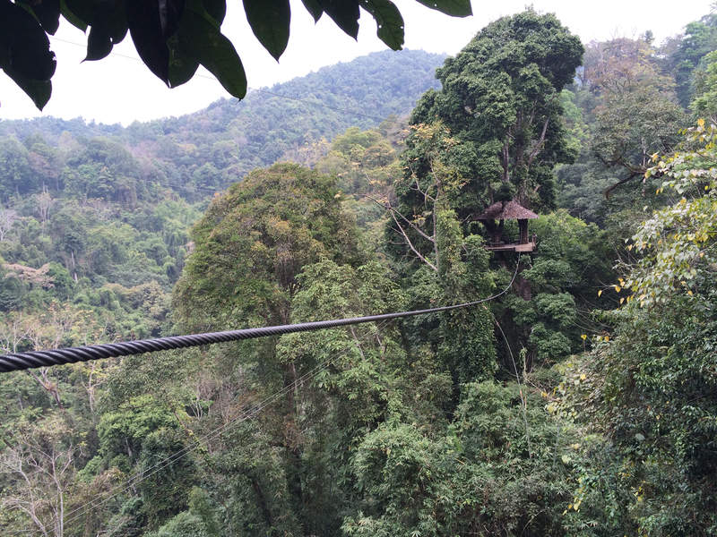 Ziplining in Thailand: My Face Hurts from Smiling